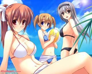 Three anime girls beach ball - a ball free wallpaper for desktop