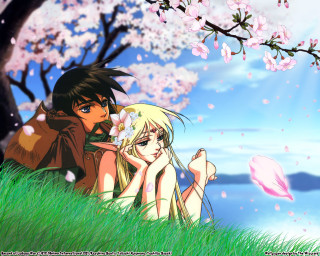 Anime couple blossom lake park - a lake in the background free wallpaper for desktop