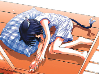 Cat girl sleeping bench black - a bench free wallpaper