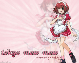 Girl red dress maid pink - a white dress free wallpaper for desktop