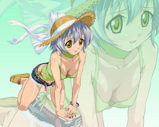 Girl bikini surfboard cat dog - a surfboard free wallpaper for desktop