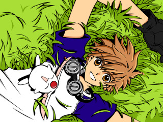 Boy grass camera cat anime - a boy free wallpaper