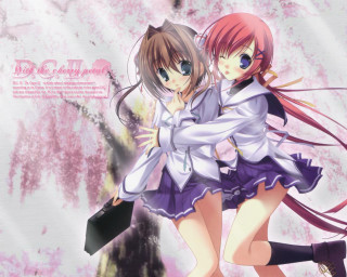 Anime girls hugging pink cherryblossoms - a tree in the background free wallpaper