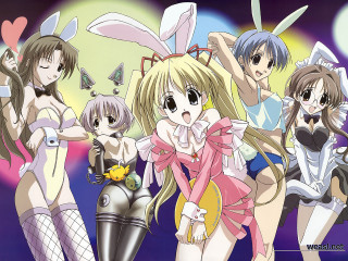 Anime bunny girls leotard moon - their head free wallpaper