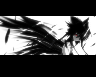 Black white anime red eyes - a black tail free wallpaper