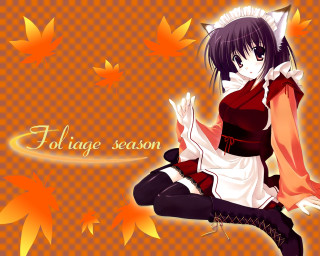 Autumn leaves anime girl kimono - a short dress free wallpaper