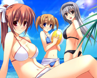 Three girls beach bikini sky - the beach together free wallpaper