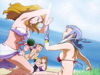 Cartoon woman bikini sword group - summer free wallpaper