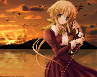 Woman dress violin sunset birds - over a lake free wallpaper