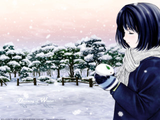 Woman snowball snowy park anime - tree and snow free wallpaper