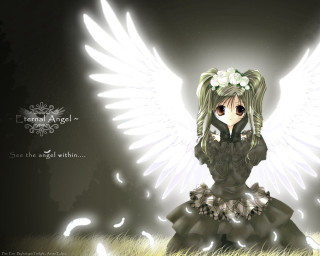 Angel wings girl grass night - angel free wallpaper