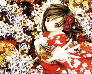 Red dress girl flower autumn - visual art free wallpaper