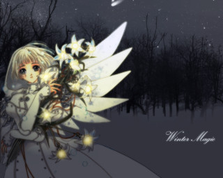 Fairy bouquet snow night stars - the sky above her free wallpaper
