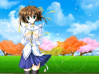 Anime girl field cherry blossoms - the background and a sky free wallpaper