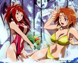 Two women bikinis water beer - the other hand free wallpaper