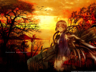 Anime girl long hair bird 2 - tree and birds free wallpaper