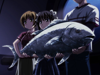 Man woman large fish room - lostfish free wallpaper for desktop