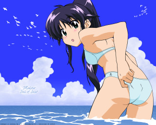 Woman ocean bird bikini anime - anime free wallpaper