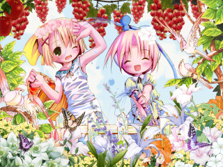 Anime girls garden flowers butterflies - flower and butterflies free wallpaper for desktop