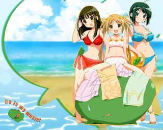 Beach girls balloons bikini sand - three girl free wallpaper