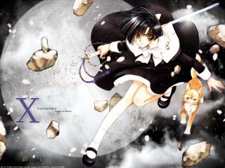 Anime girl flying sword cat - her hand and a cat free wallpaper