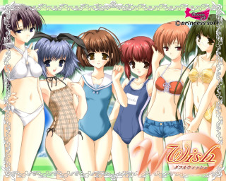 Girls bathing suits wish group - widescreen free wallpaper for desktop