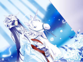White dress woman white horse - free winter wallpaper
