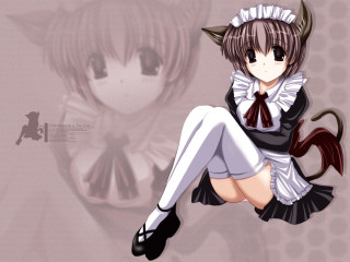 Anime girl horns cat ears - a wallpaper free wallpaper for desktop