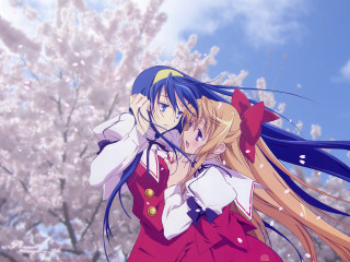 Anime girls cherry blossoms outdoors - bloom free wallpaper