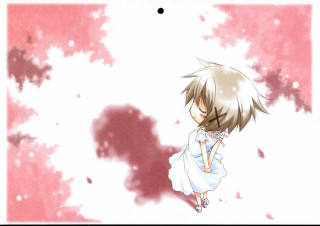 Anime white dress cherry blossoms - a anime character free wallpaper for desktop