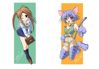 Anime 2girls furry cat ears - anime style free wallpaper