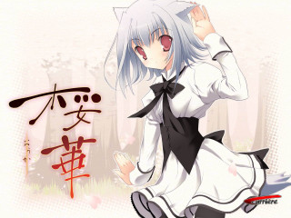 Ayako rokkaku wolf ears portrait - black shoe free wallpaper