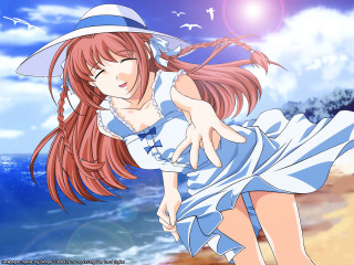 Girl beach hat bird sky - a girl in a dress and hat free wallpaper