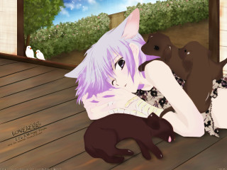 Purple hair woman black dog - a porch free wallpaper