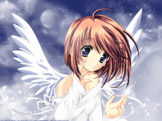 Angel wings girl starry sky - angel free wallpaper