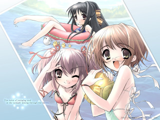 Three anime girls beach bathing - suit free wallpaper