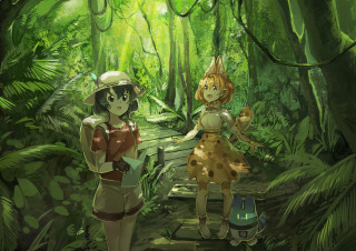 People forest bench trees plants - jungle free wallpaper