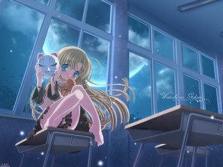 Girl cat sitting window anime 2 - her lap and a cat free wallpaper