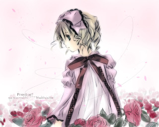 Girl dress roses bow field - rose free wallpaper