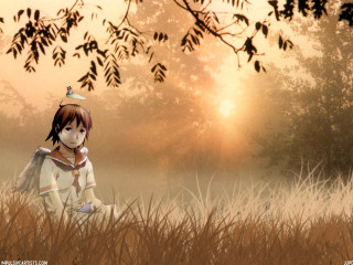 Girl field bird wings sunset - tall grass free wallpaper