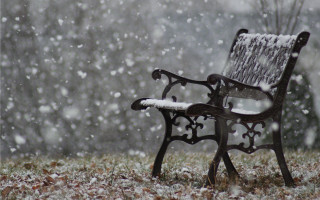 Bench snow field tree falling - the middle of a field free wallpaper