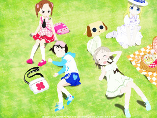 Green field picnic dogs butterflies - a green field next free wallpaper