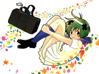 Woman briefcase autumn leaves manga - flowery free wallpaper