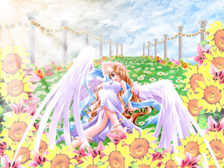 Angel wings flower field dress - a white angel free wallpaper