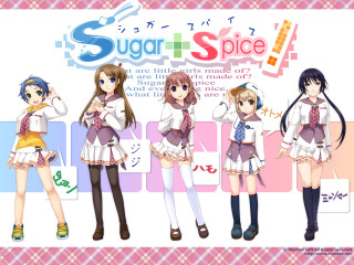 Anime girls sugar spice sign - sugar free wallpaper