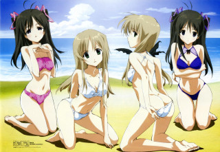 Beach girls bikinis bird sky - three girl free wallpaper