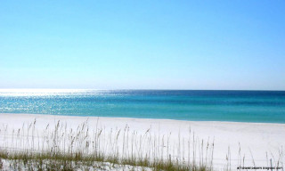 Beach ocean sand sea oats - a blue ocean free wallpaper