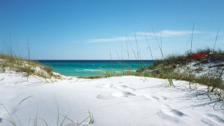 Beach ocean sand dunes blue - free beach wallpaper
