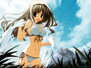 Alice prin bikini field mountains - a cartoon of a woman free wallpaper
