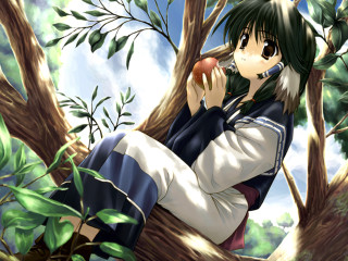 Woman sitting tree apple phone - an apple free wallpaper